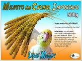 Milheto em Cachos Importado 500g (Spray Millet)
